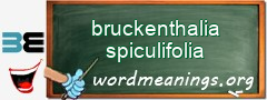 WordMeaning blackboard for bruckenthalia spiculifolia